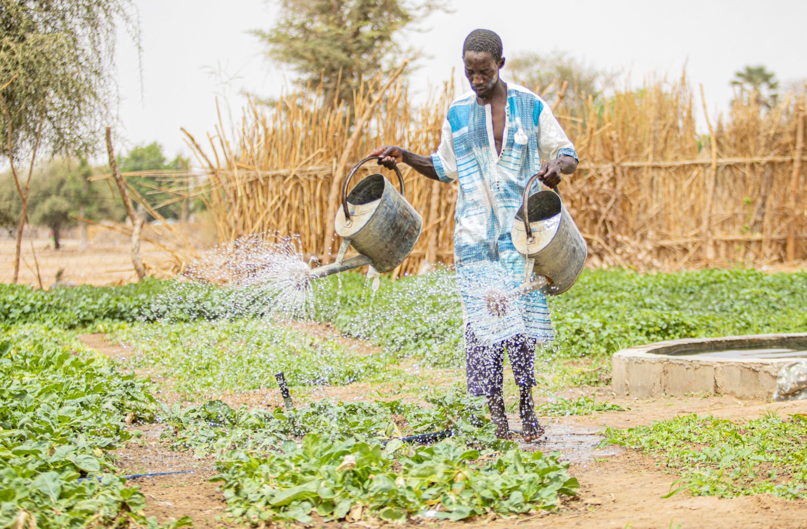 Programme de Résilience Agricole
