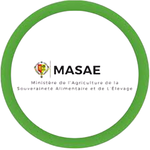 MAER